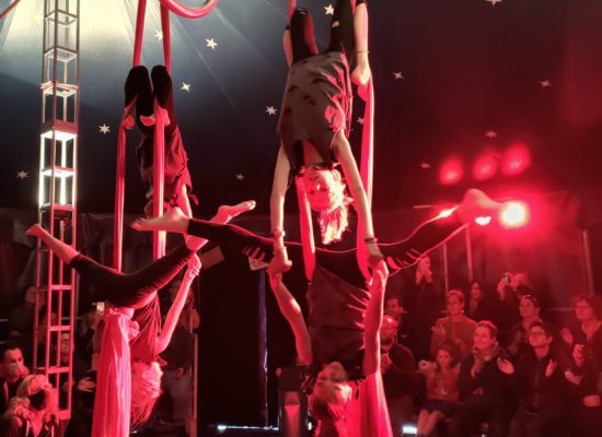 Crazy_monkey_Circus_Vertikaltuch-scaled