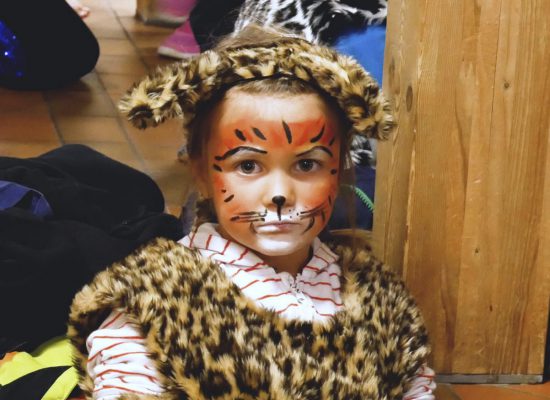 Hauptseite_galerie_tiger-2048x2045